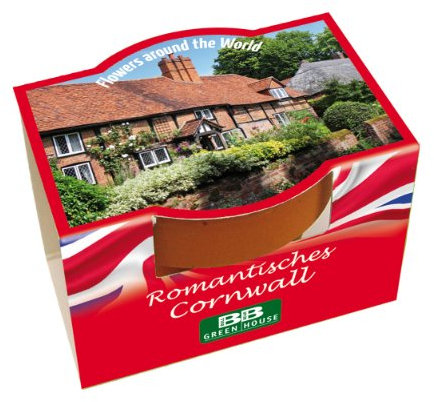 Bull & Bear 3er Set Mini Pflanzset 'Romantisches Cornwall' Blumen Samen, Tontöpfchen mit Blumensamen und Pflanzsubstrat