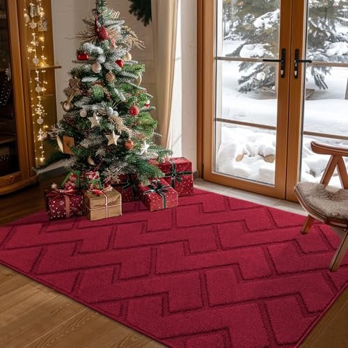 Biscpro Fußmatte Innen Außen Waschbar eingangsteppich innen Schmutzfangmatte rutschfest,Türmatte Innen Teppich für Eingang, Patio, Flur, Garten, Innen und Außen (Rot, 90 x 150 cm)
