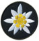 Edelweiß – eine Bergblume – magnetische Rückseite – bestickter Aufnäher/Abzeichen/Emblem