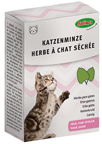 Bubimex - Herbe à Chat Séchée Catnip - Nepeta Cataria 100% Naturelle de Qualité Premium - Stimulant Naturel, Anti-Stress - Idéale pour Jouets, Griffoirs et Arbres à Chat - Lot de 6 x 20 g