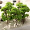 HpLive Lot de 10 maquettes d'arbres de train Diorama - Table de sable - Construction - Arbre architecture - Paysage miniature 7 cm