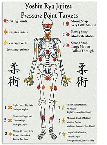 Yoshin Ryu Jujitsu Infografik-Metallschild, Jiu-Jitsu-Wissensposter für Club-Jiu-Jitsu-Liebhaber, Heimbüro, Bar, Wanddekoration, 20,3 x 30,5 cm