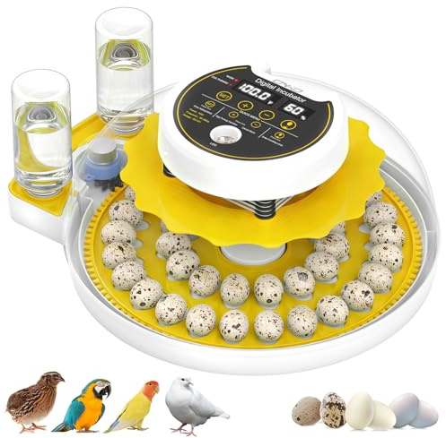 Quail Egg Incubator for Hatching 40 Quail Eggs with Automatic Turner