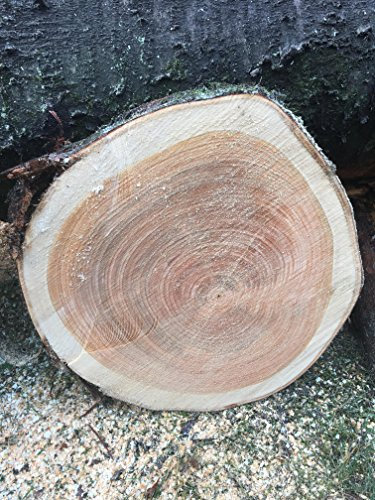 KJR Holzmanufaktur Baumscheiben, Holzscheibe,ca. 40x3cm, Vogelkirsche