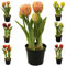 Künstliche & Realistische Tulpe im Topf – Höhe: 26cm - Große Auswahl - Hochwertig & Gefühlsecht - Kunstpflanze (Rosa, Offene Blüten)