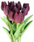 SuperglockT Tulpen Kunstblumen aus Latex Real Touch künstliche Tulpen Blumen wie echt Brautstrauß Bouquets für Hochzeit Party Garten Hotel Zimmer Deko (Weinrot, 10 Stück)