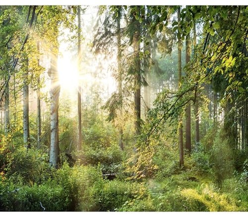 decomonkey Fototapete Wald grün 450x315 cm Tapete Fototapeten Vlies Tapeten Vliestapete Wandtapete moderne Wand Wandbild Schlafzimmer Wohnzimmer Landschaft Natur