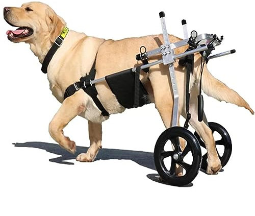 VIDECOR Hunderollstuhl für Hinterbeine, Verstellbarer Rollstuhl für Hunde mit Behinderten Hinterbeinen, Kleine Katzen-/Hundewagen mit Rädern,L