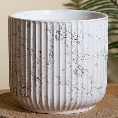XQSXDKXQ Fioriera decorativa effetto cemento, in resina, per giardino, patio, interni ed esterni, con grande foro di drenaggio, colore bianco, media