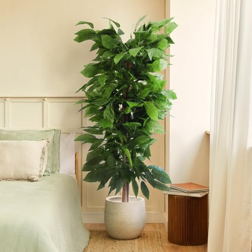 BLAINE | Mango 180cm | Plantas Artificiales Decorativas | Planta Artificial Grande | Plantas Artificiales para Interior/Exterior | Planta Artificial Realista Decorativa para Casa