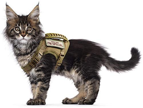 Taktisches Katzengeschirr zum Spazierengehen, ausbruchsicher, weiches Netzgewebe, verstellbare Haustierweste für große Katzen, kleine Hunde