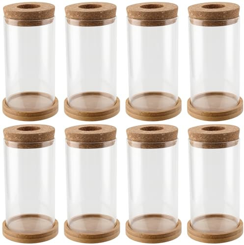 HOZEON Lot de 8 pots de fleurs en verre pour terrarium de bureau, station de propagation hydroponique pour décoration de table de bureau et de maison