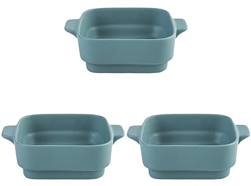 Platos para cazuela, 3 Piezas de Pan Gris, Horno Individual, Panadero, Calor, Recipiente Antiadherente, Plato, refrigerio, Pastel de arroz Doble, tazón Templado, bandejas para serv