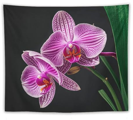 NONHAI Orchideen-Wandteppich, Wandbehang, Tagesdecke, Bettüberwurf, Wanddekoration, Kunst, ästhetischer Wandteppich für Schlafzimmer, Wohnheim, Wohnzimmer, 127 x 152,4 cm