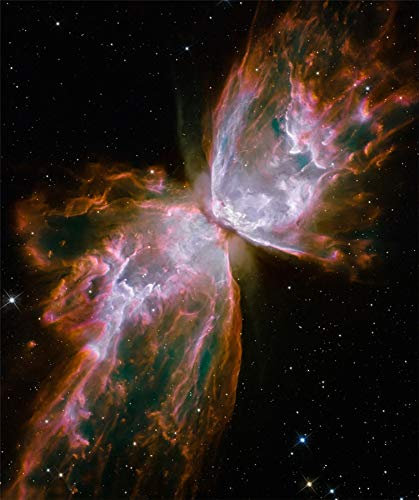 Fabulous Poster Plakat Käfer-Nebel Astronomie Weltraum Galaxie