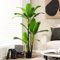 COSTWAY Artificial Banana Plant in Plastic Pot, Bird of Paradise Tree, Indoor Outdoor Greenery Fake Decorative Plants for Home Office Lobby Restaurant Garden（1, 150CM, 3 Trunks）