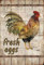 Schatzmix Fresh Eggs Gockel Metallschild Wanddeko 20x30 cm tin Sign Blechschild, Blech, Mehrfarbig