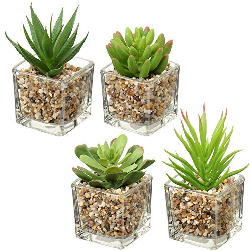 Briful Set of 4 Green Faux Succulent Plants in Clear Glass Pots, Small Fake Succulents, Mini Faux Plants, Indoor for Window Sill, Office Table, Desk Shelf, Bathroom Decor
