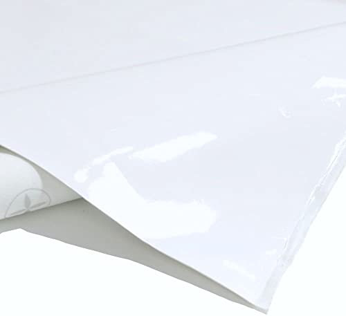 TOLKO 1m weißes Lederimitat Glattleder Lackleder | weiche Premium Meterware | Stuhl Bank Sessel Sofa Sitzbezug 140cm breit | Kunstleder Bezugstoff Polsterstoff Polsterbezug Möbelstoff (Weiß)