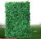 SanBouSi 12 pezzi parete artificiale per piante protetta dai raggi UV, copertura artificiale per siepi, prato, erba, verde, pannello da parete, 40 x 60 cm
