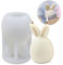 Ostern Kaninchen Silikonform, 3D Osterhase Kerzenformen, Hase Form Silikon Backform, Kerze Silikonform Ohren Hase Kaninchen, Osterhase Silikon Form für DIY Seife, Kerzen, Schokoladenkuchen (1PCS)