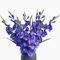 kimbovillea Künstliche Gladiolen, Seidenorchideen, Blumenstiele, künstliche Dendrobium-Blumen, Narzissen für Zuhause, Garten, Party, Hochzeit, Dekoration, Blau, 10 Stück