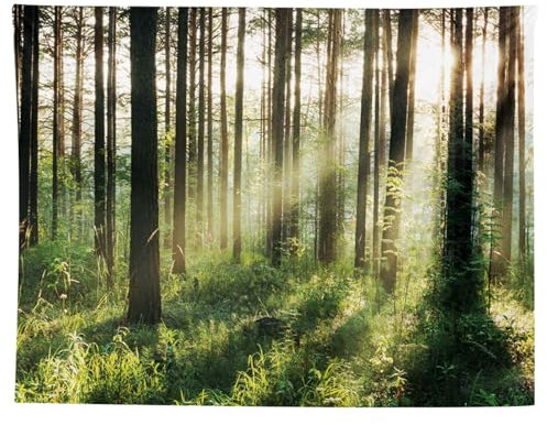 MIGIFTDY Waldbaum Wandteppich Wandbehang Extra Großer Wandteppiche Nebliger Wald Wandteppich Wandteppich Wald Wandtuch Baum für Home Office Dorm Indoor und Outdoor Dekoration150 cm x 200 cm (A)