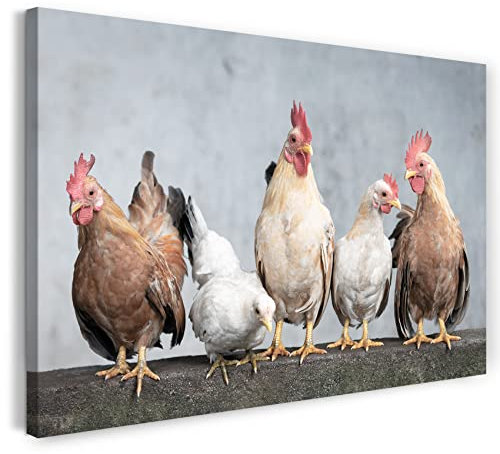 Printistico Leinwandbild (100x70cm) Hühner auf dem Zaun, Bauernhof Hahn Natur, kühle Farbe, Tier-Fotos, Natur-Fotografie, echter Holz-Keilrahmen inkl. Aufhänger, handgefertigt in Deutschland