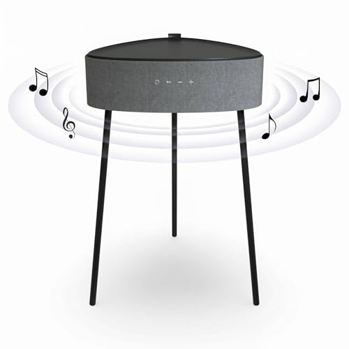 TD Systems Mesa Altavoz Bluetooth de 20W, Batería de 2500mAh SM20B11PGC Color Gris Claro