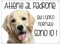 CARTELLO CANE - GOLDEN RETRIEVER Attenti al padrone qui l'unico normale sono io - Con Adesivo in Vinile e Pannello in Forex (Pannello 5mm Stampato)