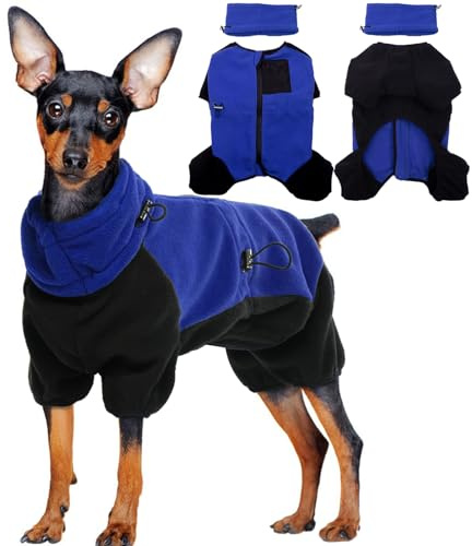 Wintermantel Hund XS, Winterjacke Hunde Klein Warmer Hundemantel mit Snoods für Hunde Hundeweste Kleine Hunde Winterkleidung Wintermantel Chihuahua(Blau, XS)