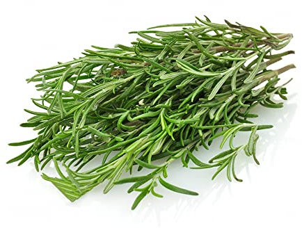 Rosmarin Samen/Rosmarin Pflanzen,KräUtersamen,KräUterbeet Balkon,Bodendecker Samen Winterhart,Bio Saatgut(Rosmarin/Rosemary),Garten Pflanzen-300stüCk