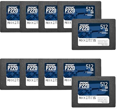 Patriot Memory P220 P220S512G2510 Lot de 10 disques SSD internes SATA 3 2,5 512 Go