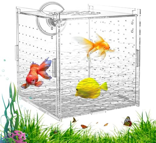 Aufzuchtbox für Aquarium, Fischabscheider aus Acryl für Aquarium, Raumteiler, Behälter zur Akklimatisierung der Eier von Guppy,