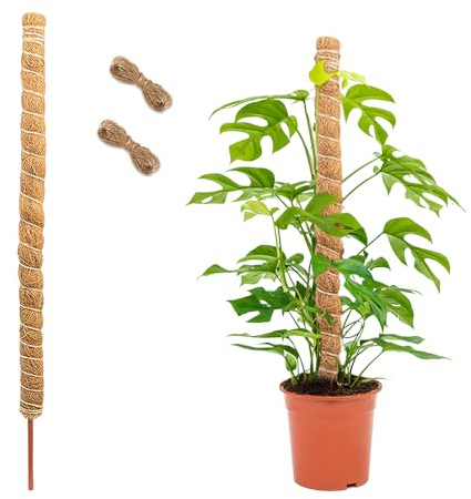 HMCEY Supporto Piante Rampicanti 120 cm,Supporto Monstera Deliciosa,Bastone di Muschio per Piante,Tutore Piantes Cocco,Bastone Cocco,Moss Pole Monstera con Corda Juta,Plant Support Stick per Giardino