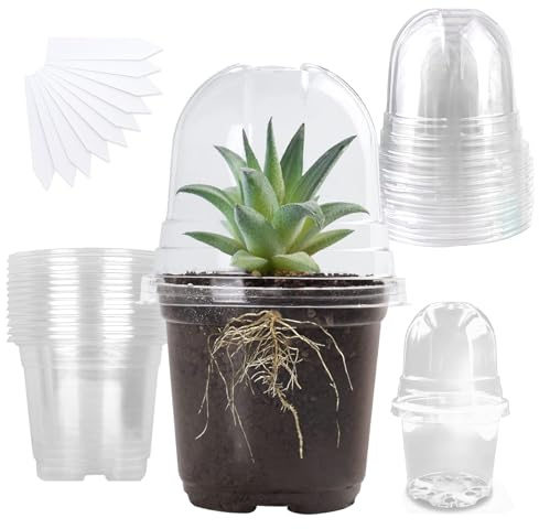 FxlStelrion 10 Macetas de Plástico, Macetas con Cúpula de Humedad, 10cm Macetas Transparentes con Tapa, con 10 Etiquetas para Plantas, Maceta Redondas para Semillas, Plántulas, Suculentas