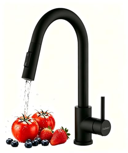 Süßren Kitchen Tap,Kitchen Mixer Tap with Pull Out Sprayer,360° Swivel,2 Modes Spray Single Handle High-Arc Design,Stainless Steel Sink Faucet (Black)