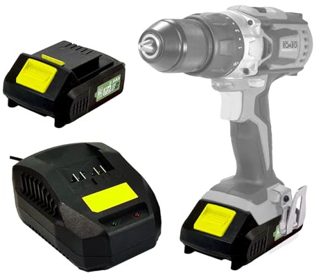 Avilia Akku- und Ladegerät-Set für Elektrowerkzeuge, 20 V, 2 Ah, mit LED-Anzeige, Lithium-Akku mit Aufladung in 45 Minuten, Überlast- und Tiefentladungsschutz