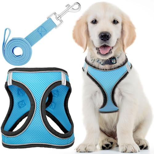 Hundegeschirr mit Leine – Medium, Husky Blue – weich gepolstertes und zugfreies Haustiergeschirr mit reflektierenden Streifen für mehr Sicherheit – von EcoEarth