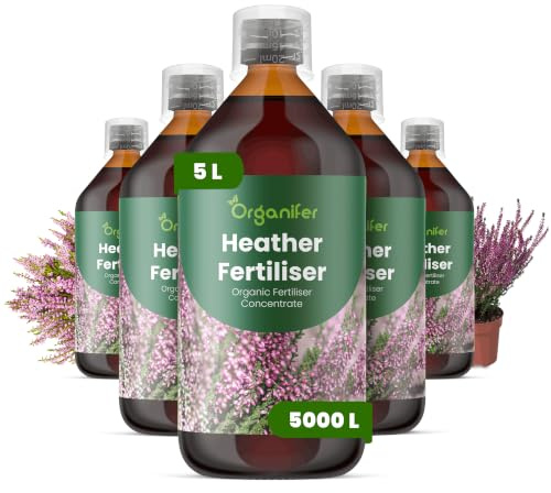 Heidepflanzen Flüssigdünger - 5x1L - NPK 2-1-8 | Für Üppige Blüten Und Gesunde Wurzeln - Organifer