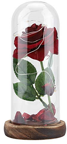 Rosa del Piccolo Principe, Fiore Rosa eterno conservato con Stringa LED in Cupola di Vetro.Buon per Fidanzata, San Mothers'Day (Rosso)(Rosso)