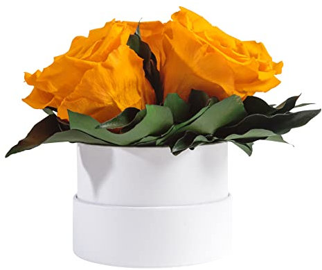 ROSEMARIE SCHULZ Heidelberg Infinity Rosenbox weiß rund konservierte Blumen Gelb - 3 Infinity Rosen Durchmesser 15 cm - Geschenk für Frauen (Gelb, Medium)
