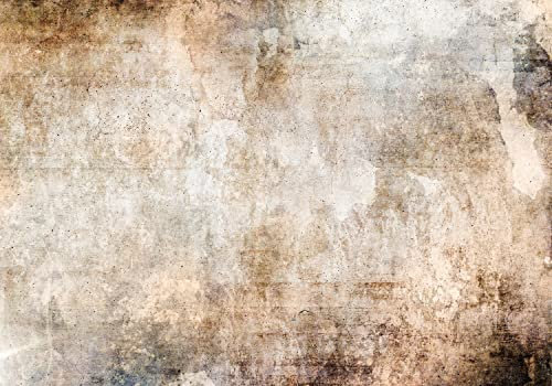 decomonkey Fototapete Abstrakt Steineffekt 400x280 cm Tapete Fototapeten Vlies Tapeten Vliestapete Wandtapete moderne Wand Wandbild Schlafzimmer Wohnzimmer Beton Steinwand Beige