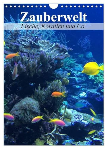 Zauberwelt. Fische, Korallen und Co. (Wandkalender 2026 DIN A4 hoch), CALVENDO Monatskalender: Ein Unterwasser-Planer für bunte Monate (CALVENDO Tiere)