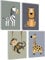 mojoliving Bilder Kinderzimmer jungen Baby Zimmer Poster Set Wandbilder Kinderzimmer mädchen Babyzimmer Deko Bilder für Baby Zimmer Dekoration (Safari)