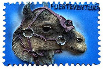 3D Fuerteventura Spanien Kühlschrankmagnet, Home & Kitchen Dekoration Magnet Aufkleber Souvenir Geschenk