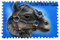 3D Fuerteventura Spanien Kühlschrankmagnet, Home & Kitchen Dekoration Magnet Aufkleber Souvenir Geschenk