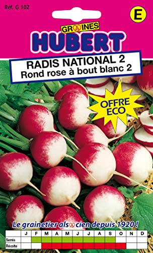 Graines de Radis National 2 rond rose à bout blanc 2-30 grammes