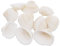 100 Stück natürliche Muscheln kleine weiße Muscheln Bulk für Heimdekorationen Strand Thema Party Kerzenherstellung Dekor Aquarium Vasenfüller Handwerk DIY