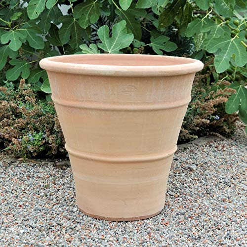 Terracotta Pflanzkübel 50 cm hoch – Blumentopf aus Ton mit Abflussloch – Frostfest & wetterbeständig – Mediterraner Look für Garten, Balkon & Terrasse – Ideal für Blumen, Kräuter & Sträucher ,Yucca